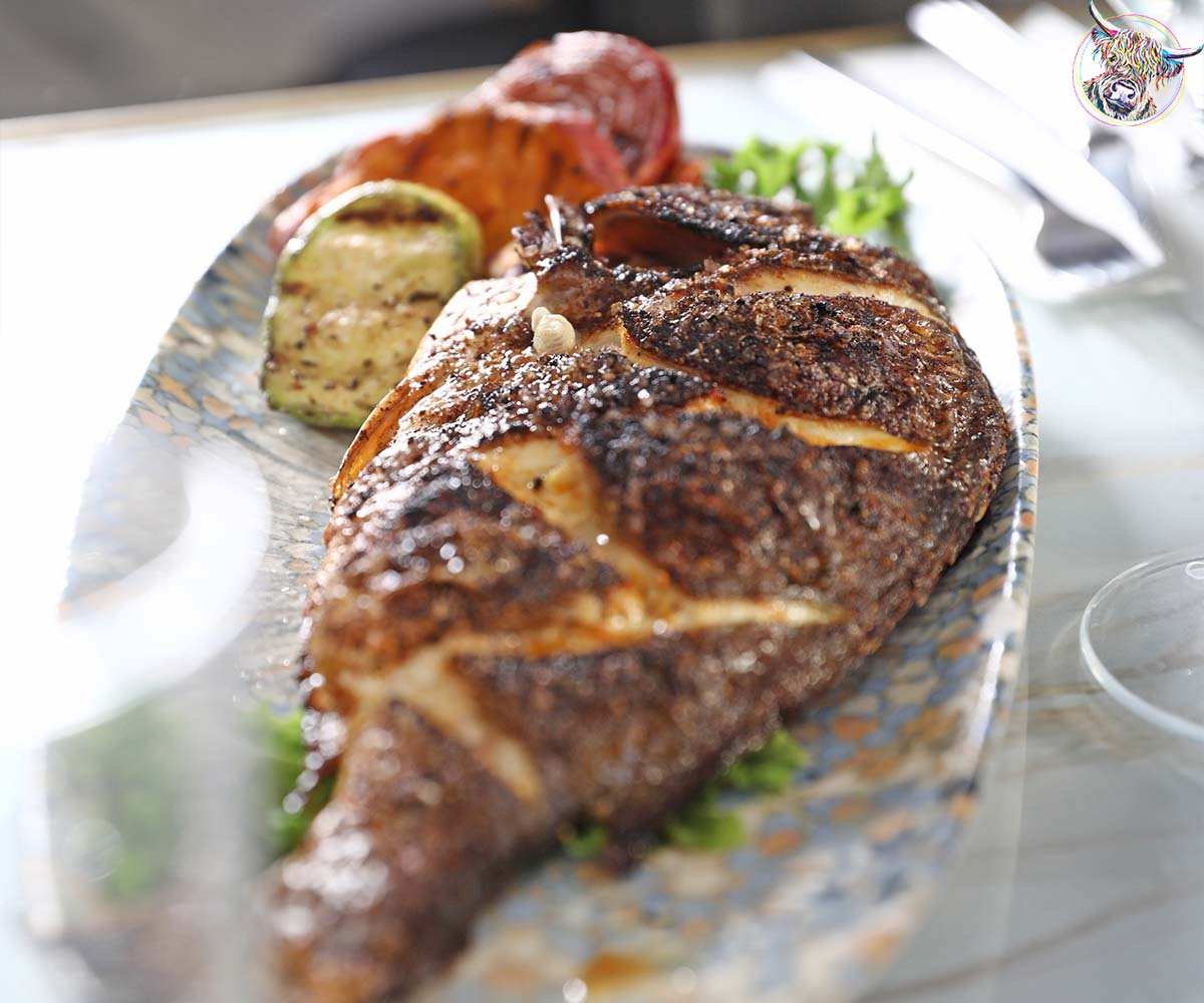 דג הפי דייס